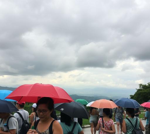 台灣天氣展望：週後熱帶系統生成可能，午後降雨區域縮小